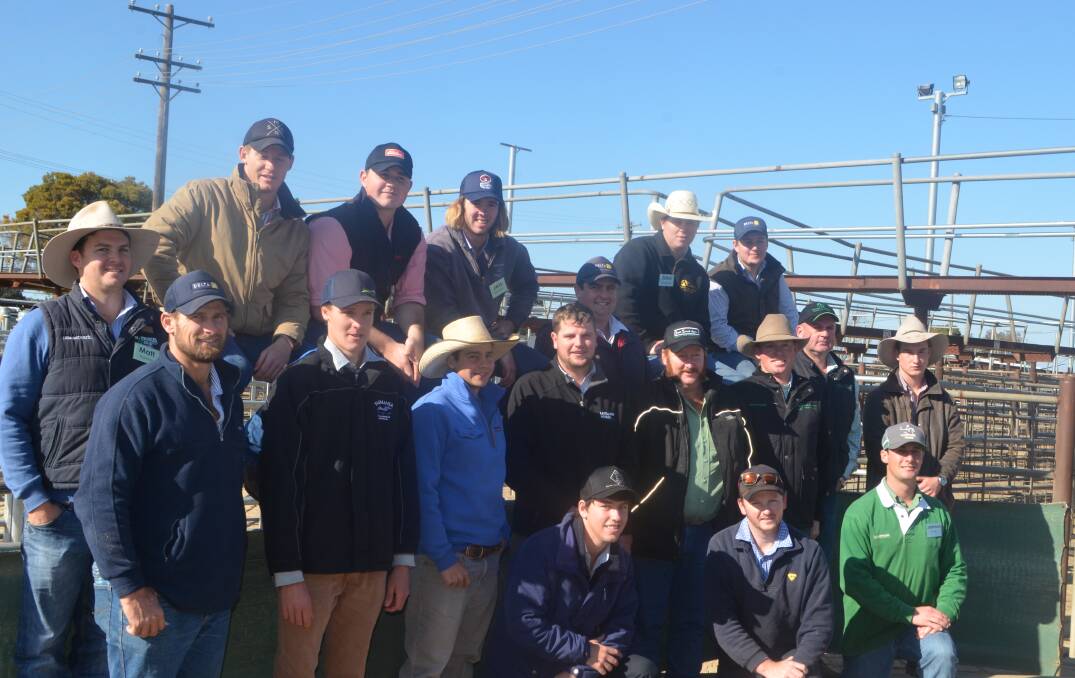 ALPA auctioneers school particpants at the livestock selling complex in Wagga Wagga