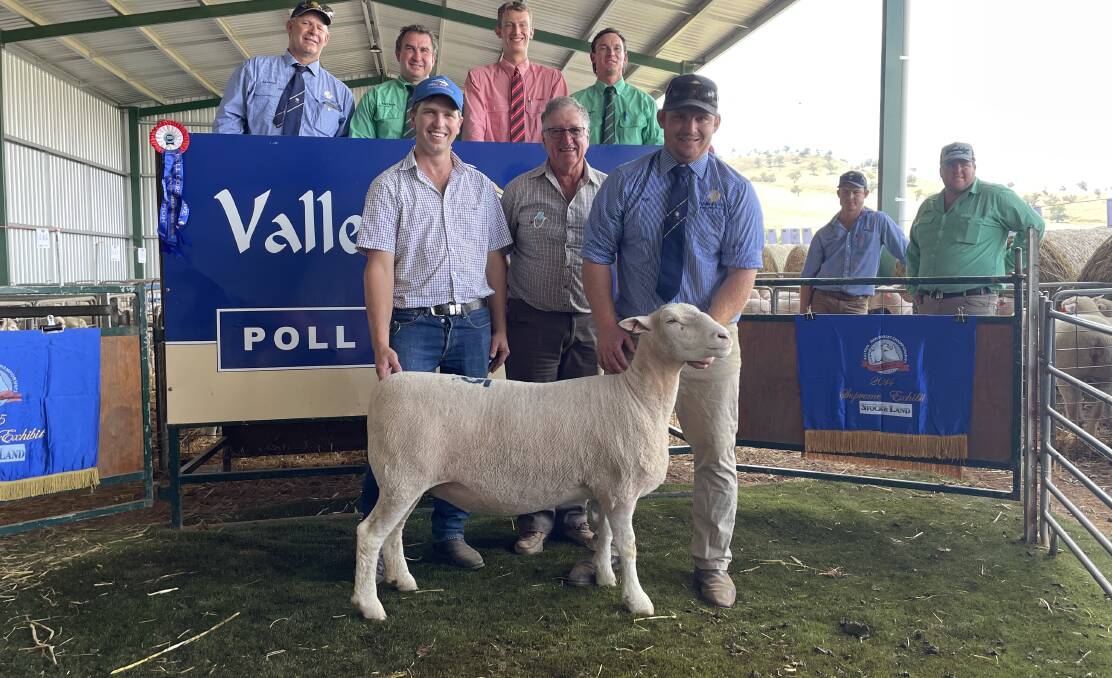 Front - Aaron and Lindsay Picker, Binda, with the top priced ewe paraded by Joe Scott. Back - Andrew Scott, Valley Vista. Coolac, auctioneers Tim Woodham, Harrison Cozens and Hamish McGeoch.
