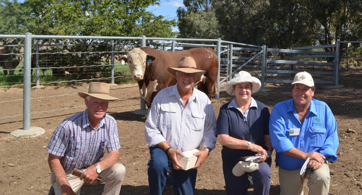 With the top-priced bull - Ross Bennett, SA, Terry and Sandy Woods, WA with stud principal Ian Locke. Wirruna Ledger, a son of Allendale Anzac was bought for $27,000