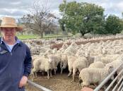 Tim Hufton, with the unclassed Bundilla-blood Merino ewes at Naranghi, Harden.