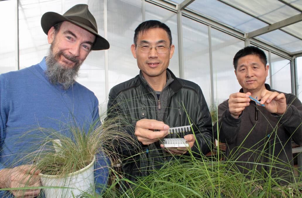 Early weed identification: NSW Department of Primary Industries scientists, Drs David Gopurenko, Hanwen Wu and Aisuo Wang have developed a field kit to identify invasive weeds in their early growth stages. Photo: supplied