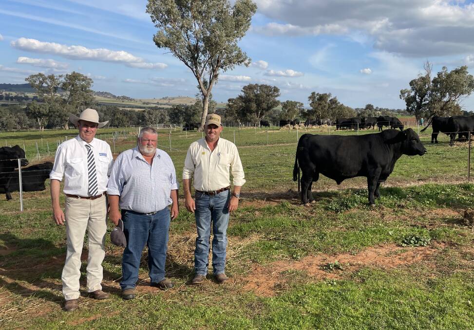 Auctioneer Paul Dooley, with buyer Adrian Goode and Matt Spry, of Sprys, with the $22,000 equal top-priced Angus bull.