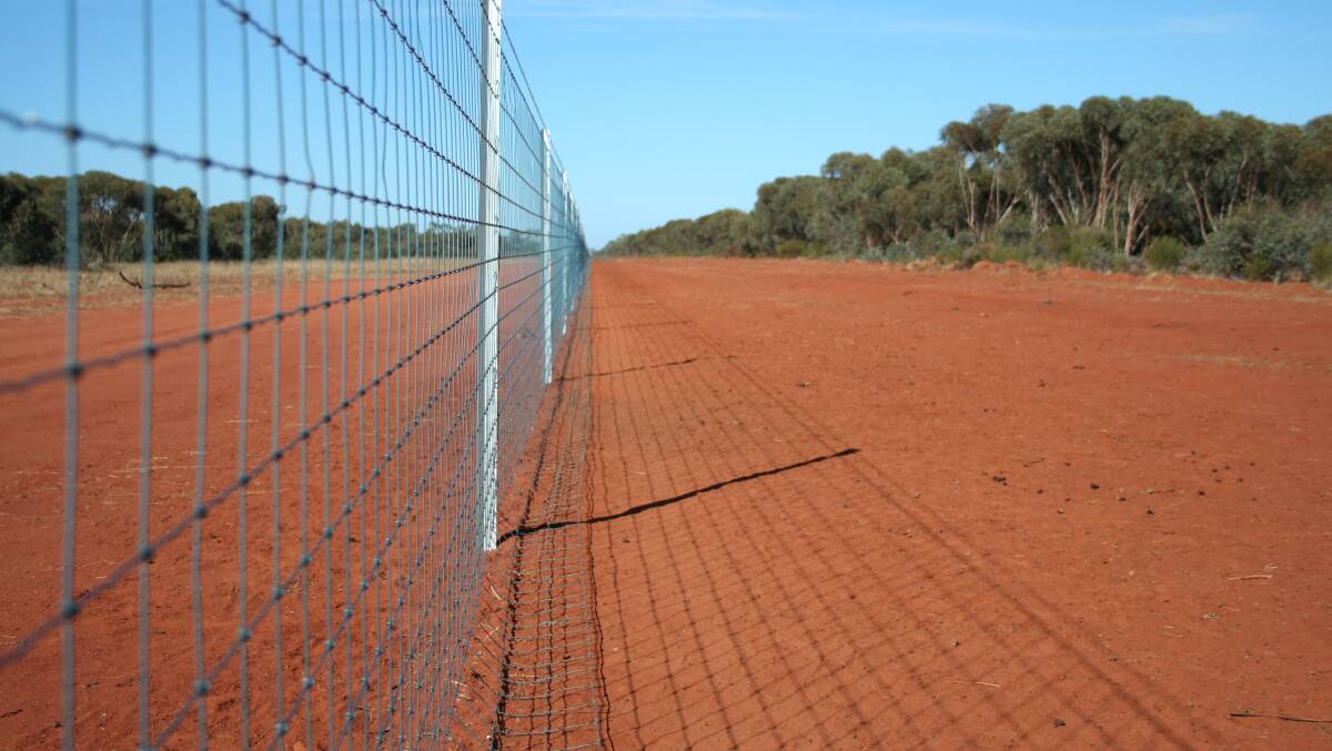 An example of the type of exclusion fence that would be eligible for funding through this program. Photo: supplied
