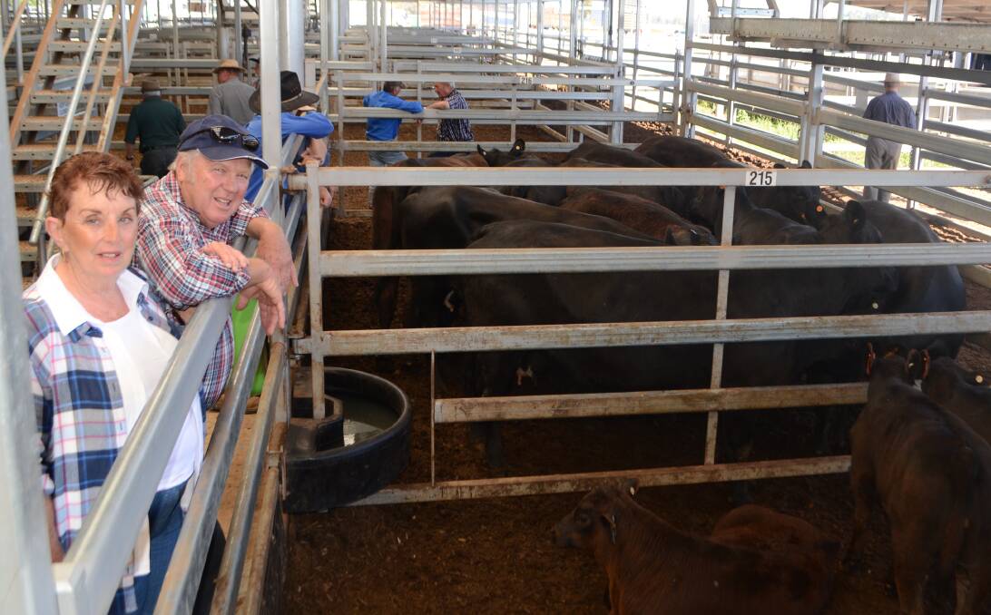 Joan and Steve McLeish, "Trails End", Bullioh, Victoria, sold 10 unjoined Angus cows with calves for $2600 a unit at Wodonga store cattle sale last Thursday. 