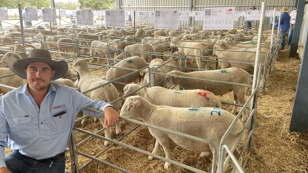 Kentish Downs stud manager Will Sullivan with the top priced ram at $4400 bought by Goorama Pty Ltd, Galong.