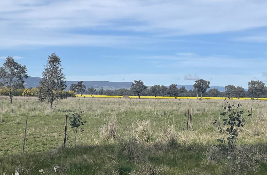 An 'Arcadian' view of the picturesque farming landscape near Holbrook, taken in early spring. 