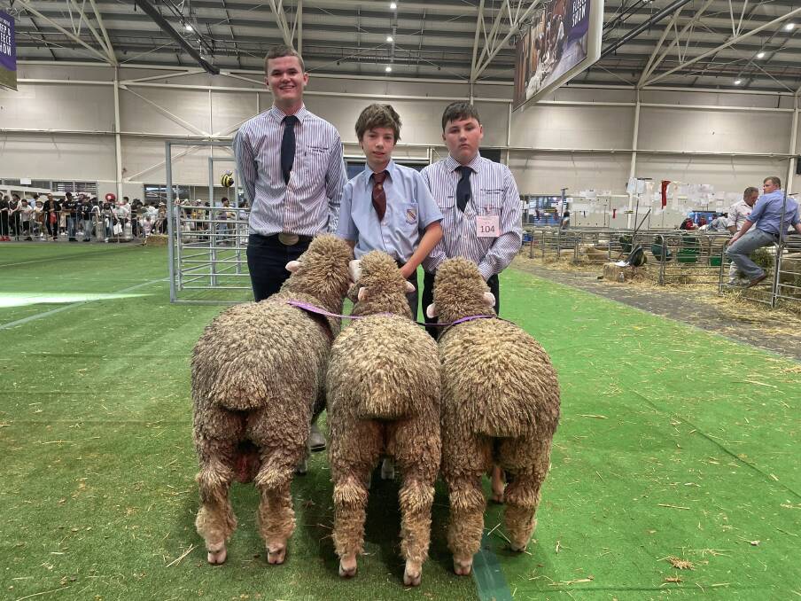 Peter Taylor Group - Adam Fordham, Owen Seychell and Drew Aurisch, St Gregory's College, Campbelltown, with the group of one ram and two ewes for the interbreed group.