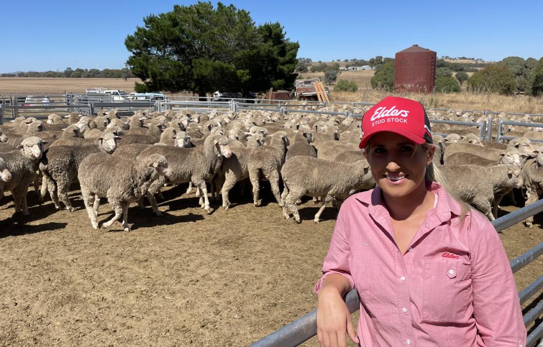 Rachael Pritchard looking over the Merino ewes entered in the 2022 Boorowa flock ewe competition. 