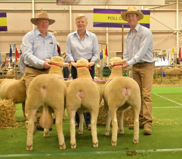 Graham, Kirsty and James Gilmore, of Tattykeel, Oberon, with the Peter Taylor Memorial Perpetual Trophy for group of one ram and two ewes. Photos: Brett Tindal