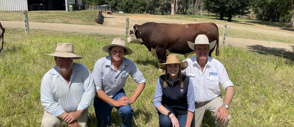 Marc Greening, Harry Comley, Ardno Performance Livestock, Mt Gambier, SA, Annie Pumpa, ABS, Bundoora, Victoria, and auctioneer Paul Dooley with the second top priced bull.
