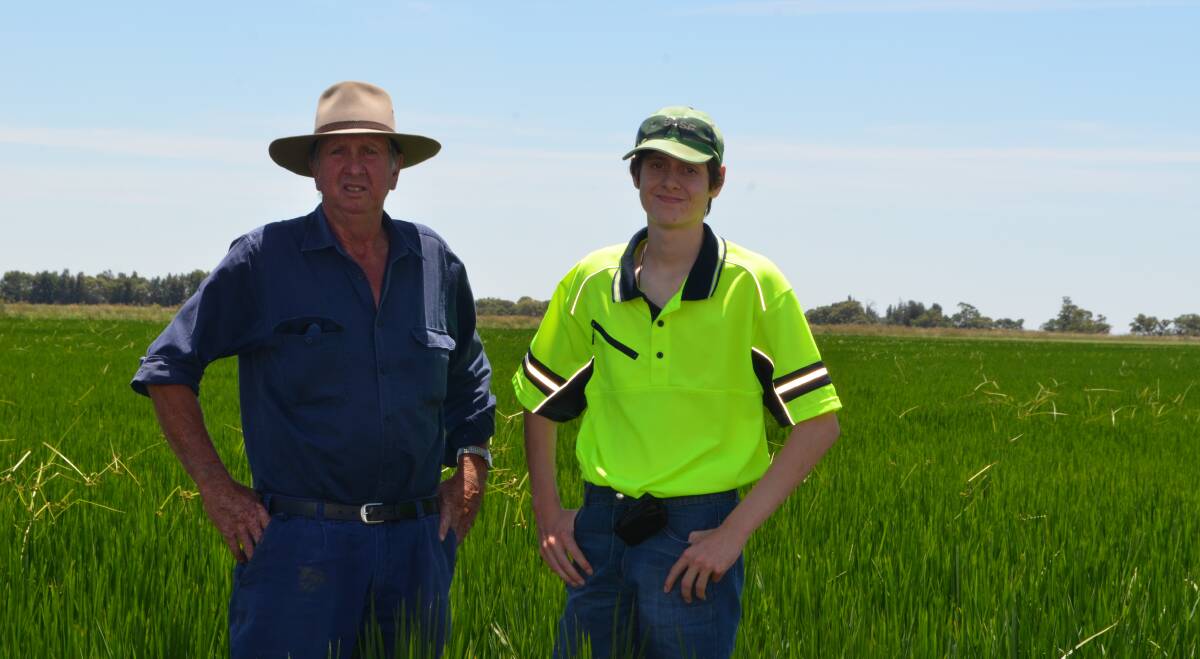 John Gitsham," Mulloka", Coleambally with his son Michael in a field of Rezig rice. Thier  rice harvest averaged 12 tonnes per hectare last season.















