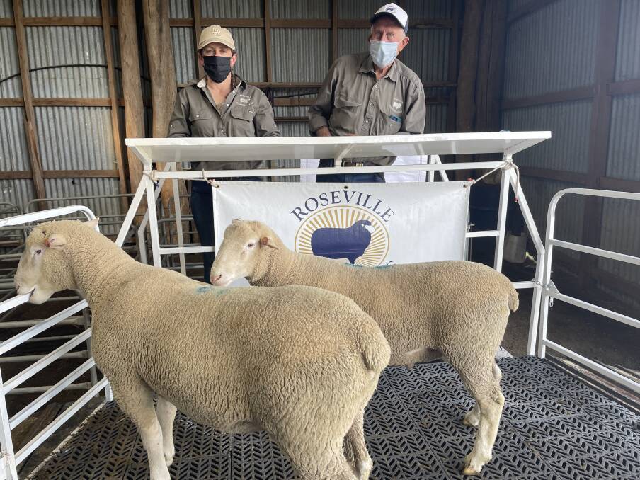 Leigh Stewart and he father Tony Manchester with the two rams purchased by Jemalong Wool, Forbes, for an undisclosed buyer.