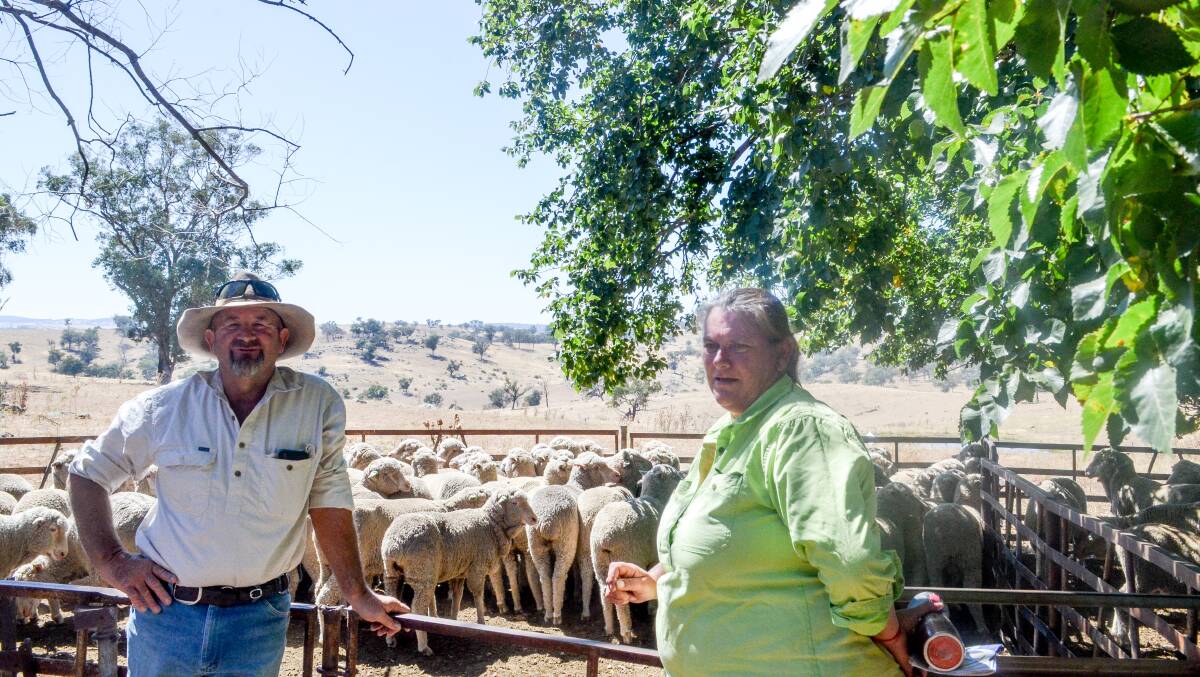 Graeme and Dianne Hewitt proudly display their Carrabungla/Rogara-blood maiden ewes at Wongalea, Binda.