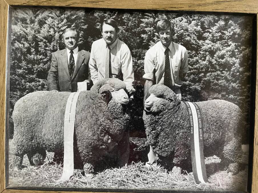 Sydney Sheep Show champions: John Muir, owner Raby, Warren, with Bob Ellis (manager) and Stephen Burns (overseer) parade the stud's ribbon winners at the 1998 Sydney Sheep Show. Photo: The Land
