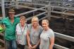 Angus cows with calves to $2440 at Wodonga