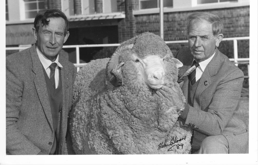 Ross Wells, Willandra, Jerilderie with 'Lord George' paraded by breeder George Clark, Tibbereenah, The Gums, QLD. Photo: Willandra 