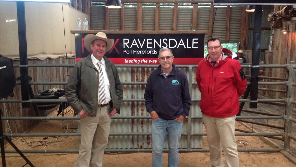 On a very wet day, Brian Burgess, principal of RHX Ravensdale Hereford stud, Holbrook, is congratulated by auctioneers Paul Dooley (left) and Ross Milne (right) on a very successful dispersal sale.