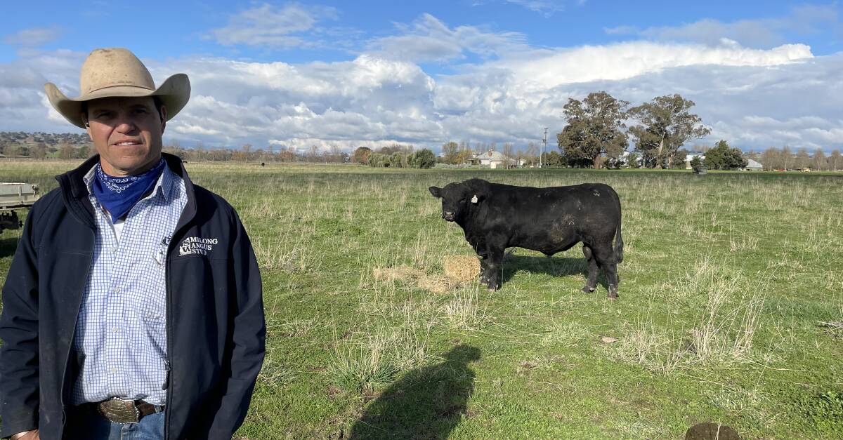 William Day, Milong Angus, Young, with Milong Remote R26 sold for the second-top price of $12,500.
