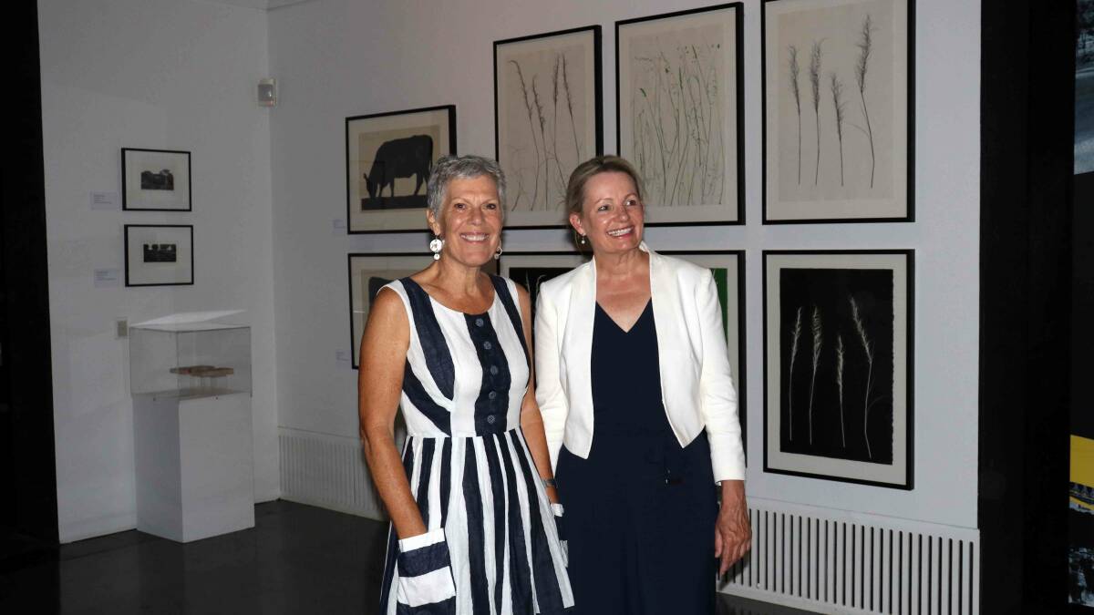 Minister opens Earth Canvas exhibition