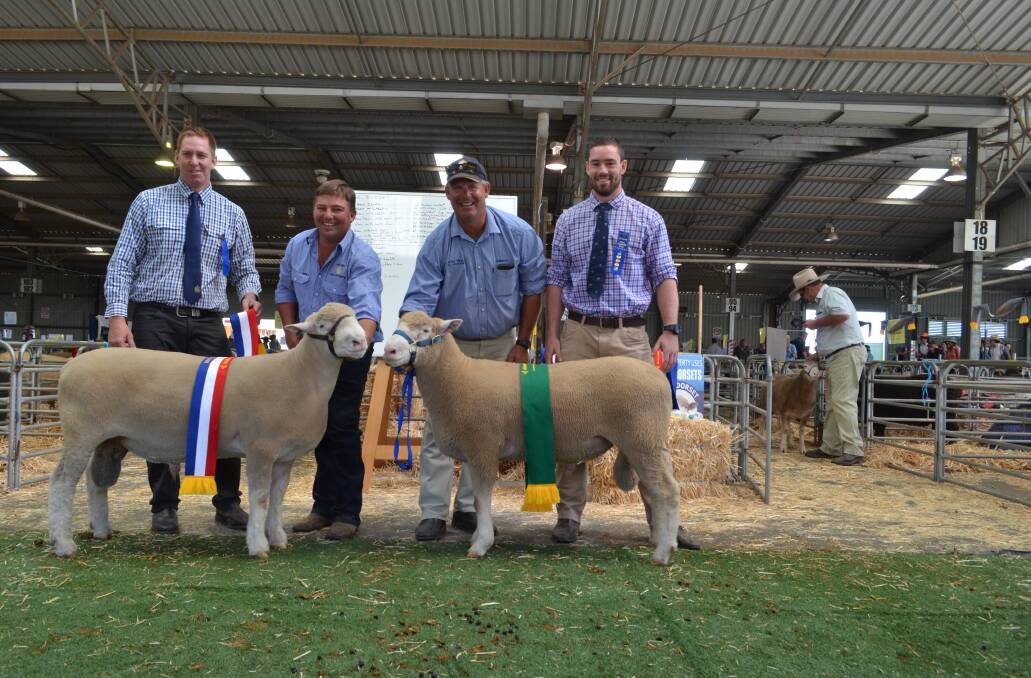 The champion Poll Dorset ram with James Frost and Victorian judge Tim Ferguson.