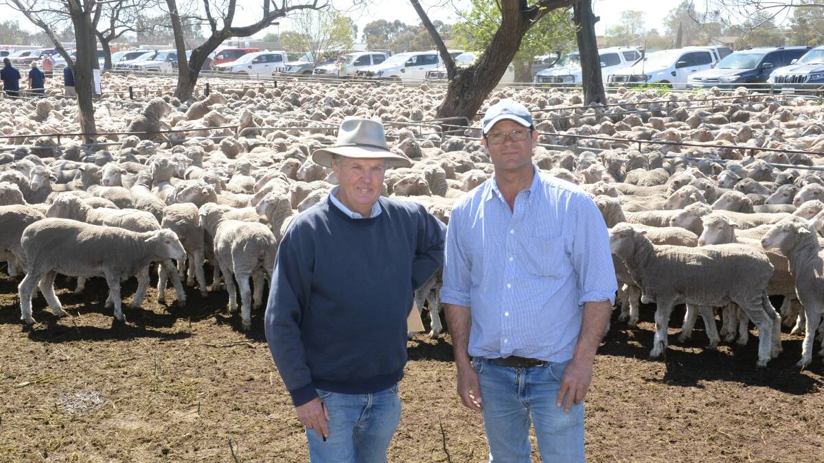 Hay-based sheep classer Chris Bowman with vendor Nick McKindlay, Mooloomoon, Moulamein and the 434 Merino ewes he sold for $262. Photo by Rachael Webb.
