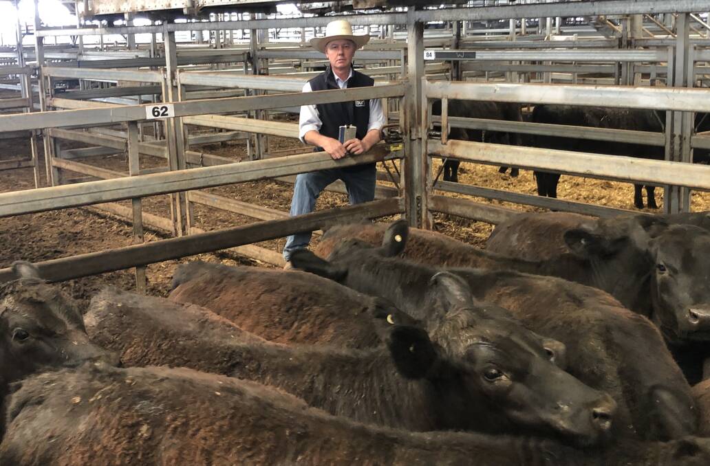 Jim Hiscock, Brian Unthank Rural, Wodonga, with the pen of 20 Murdeduke-blood Angus steers, 12-13 months and weighing 412.5kg sold by Eastgate Pastoral Co Pty Ltd, Conargo, for $2420. Photo BUR, Wodonga
