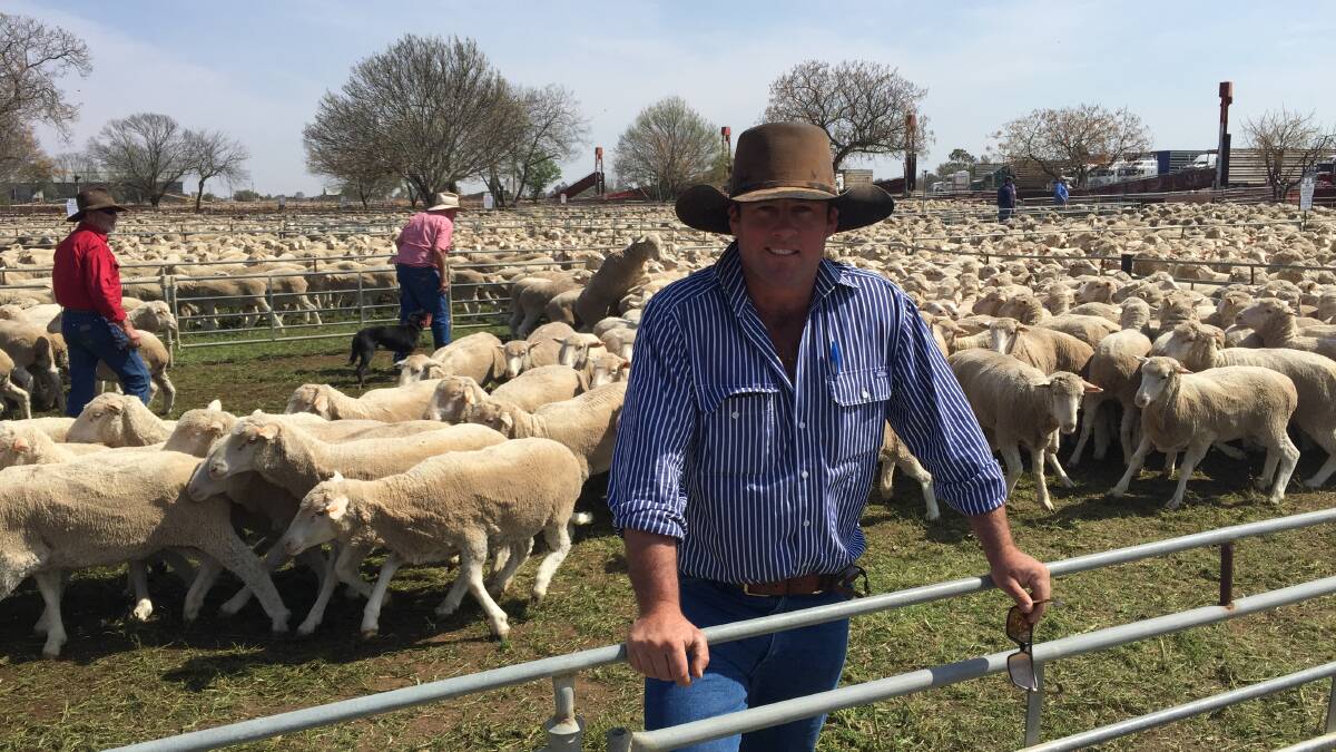 Robert Rogers, Yarto, Booligal, with his pen of 404 March/April 2018 drop, Alma-blood and August-shorn ewes which sold for $358 at Hay sheep sale last Friday.
