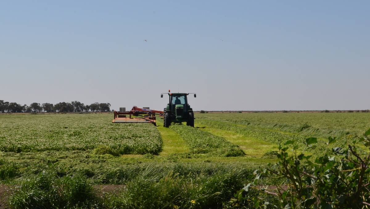 Wilting of forage for silage should not take longer than 48 hours.