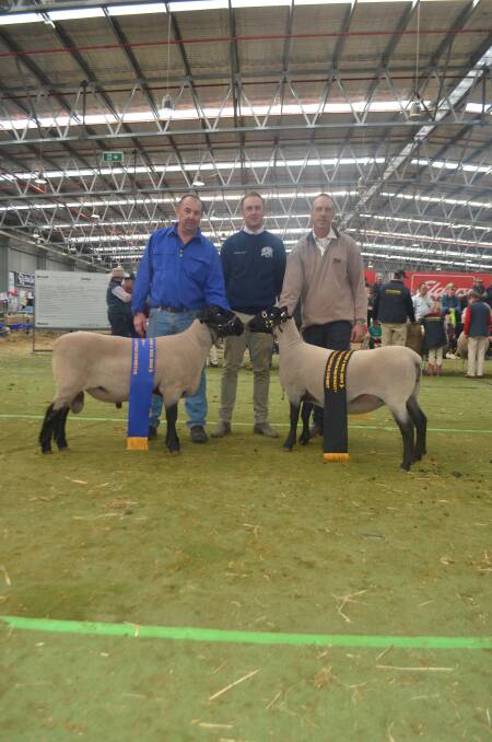 Greg Good, Bowen stud, Millthorpe with his champion Suffolk ram, judge James Corcoran, and David Lieschke, Otto stud, Walla Walla with his champion Suffolk ewe and supreme exhibit for the breed.
