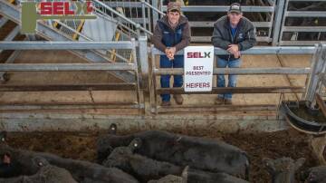 Isaac Mannion, Butt Livestock and Property, Yass, with Peter Godbee, Wallaroo, and his 11 Angus heifers which were the best presented pen of heifers. Photo: SELX