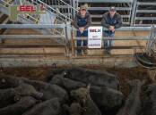 Isaac Mannion, Butt Livestock and Property, Yass, with Peter Godbee, Wallaroo, and his 11 Angus heifers which were the best presented pen of heifers. Photo: SELX