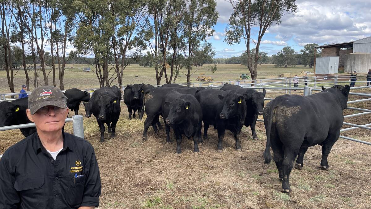 Rowley Bennett, Fernhill Angus, Hopefield, with a draft of his bulls after the annual sale.