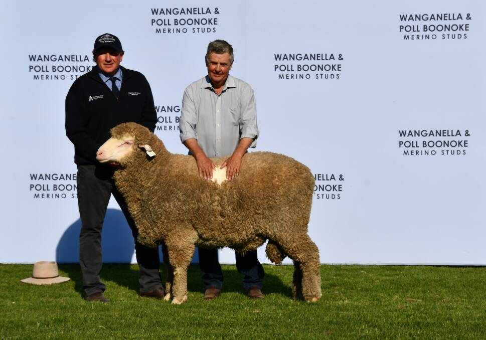 AFA general manager Justin Campbell parading the top priced Poll Boonoke ram while sheep classer Chris Bowman, who bought the ram on behalf of the Lansdowne Pastoral Co, Tambo, QLD, opens the superb fleece.