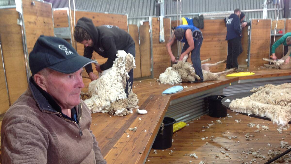 Richard Leahy keeping an eye on the shearing skills of Sheridan Cooper, Wagga Wagga and Will Holt, Junee.
