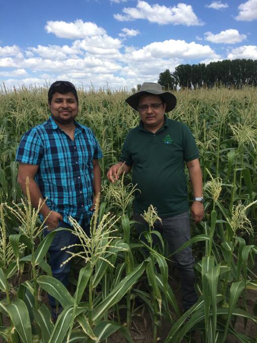 Graham Centre scientists Dr Syed Rizvi and Dr Ahsanul Haque carrying out field samples as part of the research. Photo: supplied