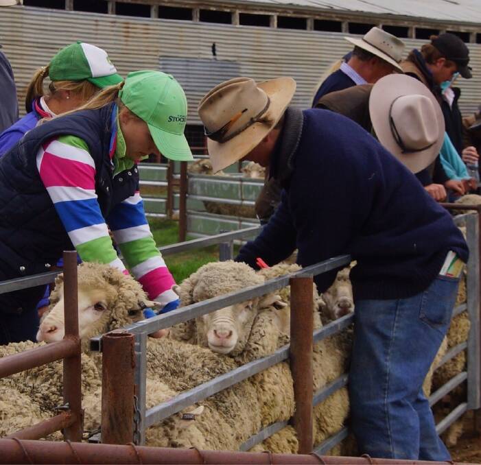 Hands on sheep experience with HayInc volunteer instructors. Photo: HayInc
