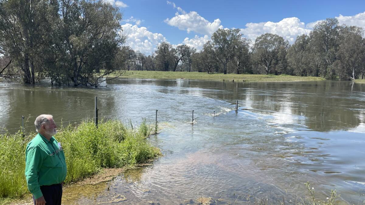 Lindsay Rapsey surveys flood water from the Murray River (the tree line in the far distance) as it courses above the fence line and over his pastures at Bonegilla. 