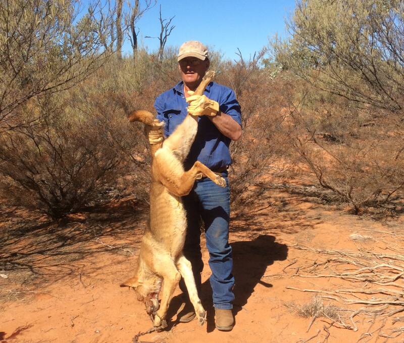 Brian Bambrick with a wild dog he trapped last year. Photo: Leanne Bambrick