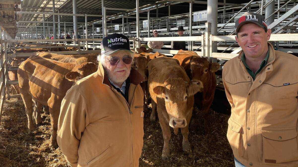 Alan Thwaites, Finley, who sold seven Limousin cows with calves for $1900, and Mark Braybon, Nutrien, Deniliquin, at the Wodonga store cattle sale on Thursday.