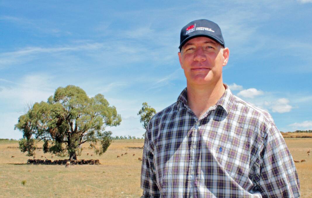 NSW DPI livestock researcher Dr Gordon Refshauge says lower reproductive success rates occur when temperatures are greater than 32 degrees.