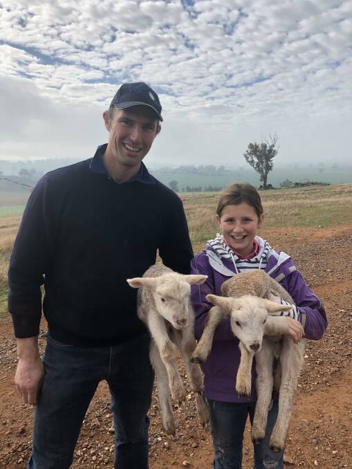 Jim Meckiff with his daughter Mabel with Poll Dorset lambs at Muttama. Photo: Jim Meckiff
