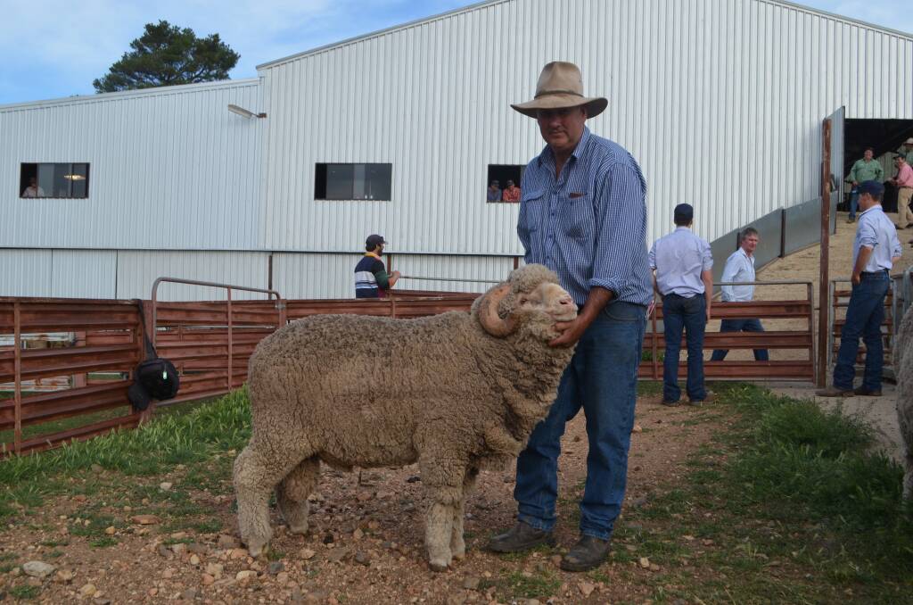 Richard Chalker, Lach River Merinos, Darby's Falls, with his $5600 purchase, a grandson of Brundenella 19 who in turn was sired by RP- 0014.
