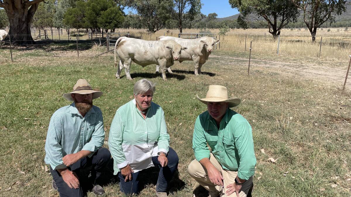 Peter Bush and Ann-Marie Collins, Kenmere Charolais, Holbrook, with Nutrien auctioneer Peter Godbolt, and two of the bulls bought by David Wigg, Maffra, including the top priced bull (at rear).