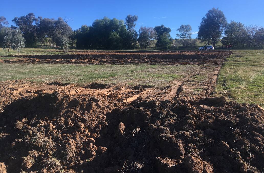 To deal with high weed loads and nutrient rich soils prior to sowing topsoil removal by scalping can be incredibly effective. By reducing nutrients and weed seed banks natives have a better chance of establishing and surviving. Photo: supplied

