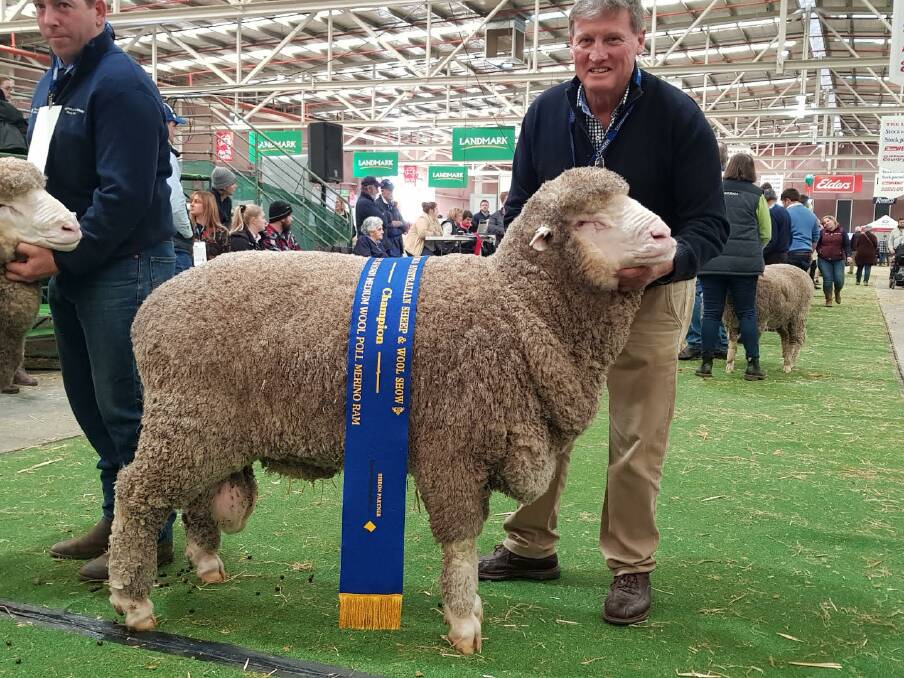 Apollo 1382: Russell Jones, Darriwell, Trundle with his champion March-shorn ram at the 2019 Australian Sheep & Wool Show held in Bendigo. Photo: supplied
