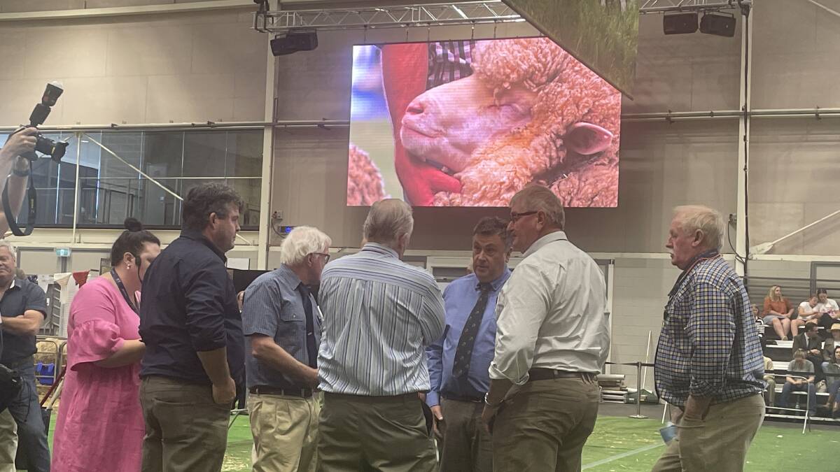 Huddle of judges deliberating on a championship in the Merino section in the Cox Pavilion during the 2023 Royal Sydney Sheep Show.