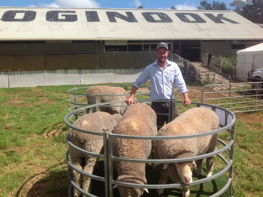 Alex Burns, Paraway Pastoral Co, Bulls Run, Wagga Wagga looking over the next generation Poll Merino sires at Pooginook, Jerilderie.