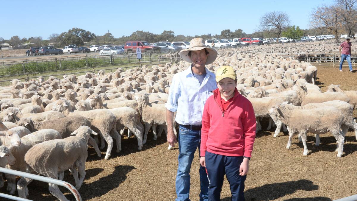 Bill Ryan with his son Paddy, Curragh Station, Oxley with their pen of 325 May/June 17 drop, July-drop Merino ewes sold for $238. Photo by Rachael Webb.

