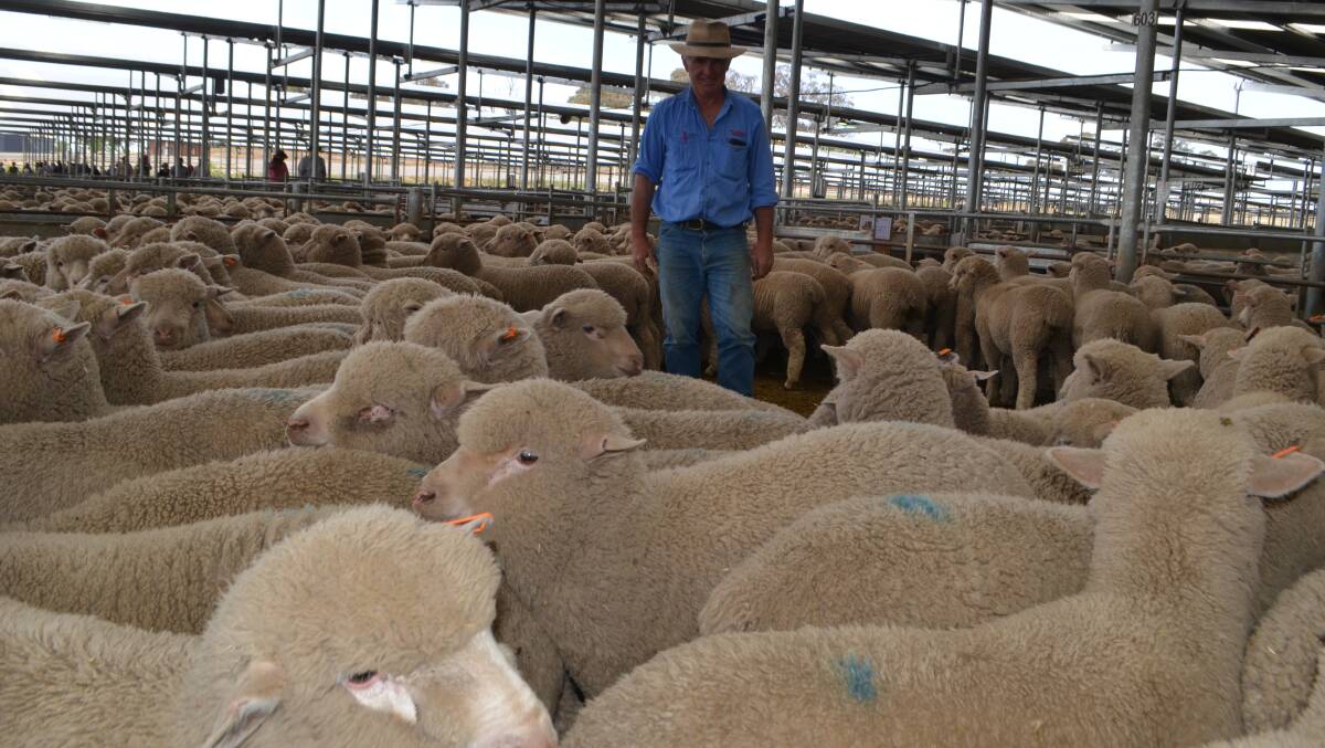 Frank Kaveney, Tallawong, Yass sold 370 Poll Dorset/Merino lambs weighing 38.5kg for $126
