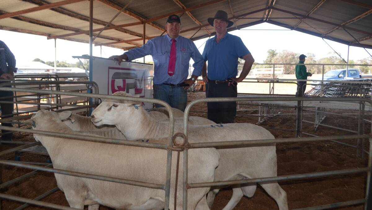 Craig Pellow with Michael Madden, and the draft of four Aussie White rams Mr Madden purchased at $2050 average price.
